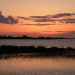 Tramonto in Camargue